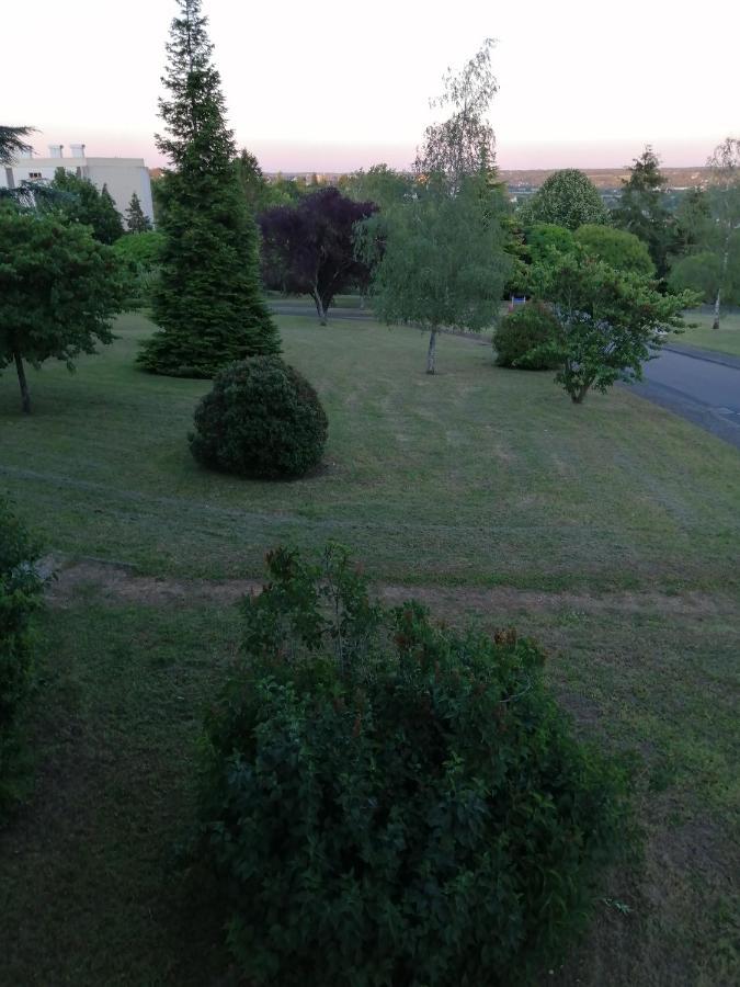 Appartement Pres De Beauval Et Des Chateaux Montrichard Eksteriør bilde